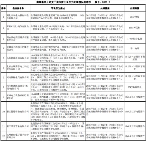 国家电网公司2021年6月供应商不良行为处理情况通报 聚焦数据处理服务领域